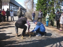 Mölkkykisaan osallistujista monet olivat konkareita ja tulokset sen mukaisia.  Kahdenkymmenenviiden  pisteen rajan ylitti kahdeksan kilpailijaa. Voittajan selvittämiseksi 27 pisteen tasatulos Torsti Aspivaaran ja Johanna Ekolan välillä oli ratkaistava ylimääräisellä heittokierroksella. 